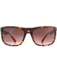 Guess - Rectangle Dark Havana Gradient Sunglasses - Lyst