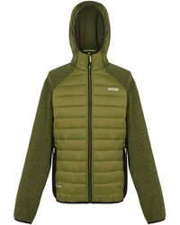 Regatta - Newhill Gewatteerd Hybride Jack (nefriet Groen/zwart) - Lyst