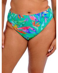 Elomi - Toyama Tides Bikini Brief - Lyst