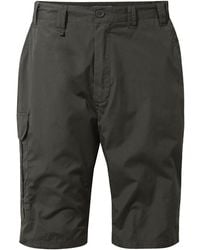 Craghoppers - Kiwi Long Shorts (Bark) - Lyst
