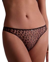 Aubade - Crazy - Lyst