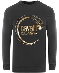 Roberto Cavalli - Piercing Snake Logo Sweatshirt Material_Cotton - Lyst