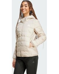 adidas - Essentials Light Down Hooded Jacket - Lyst