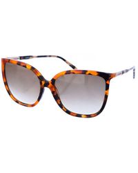 Lacoste - Butterfly-Shaped Acetate Sunglasses L963S - Lyst