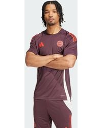 adidas Originals - Fc Bayern Tiro 24 Training Jersey - Lyst