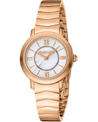 Roberto Cavalli - Rc5L056M0075 Quartz & Mop Stainless Steel 5 Atm 30 Mm - Lyst