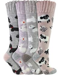 Sock Snob - 4 Pairs Long Soft Lounge Bed Socks For Ladies - Lyst