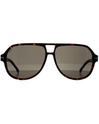 BOSS - Aviator Dark Havana 1507/S - Lyst