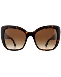 Dolce & Gabbana - Sunglasses Dg4348 502/13 Havana Gradient - Lyst