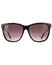 Swarovski - Square Dark Havana Gradient Sunglasses - Lyst