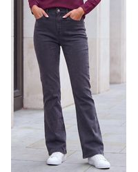 Roman - Petite Bootcut Stretch Jeans - Lyst