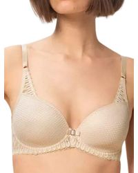 Triumph - Aura Spotlight Half Cup - Lyst