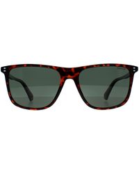 Polaroid - Pld 6232/S 086 Uc Havanna Grã¼N Polarisierte Sonnenbrille - Lyst