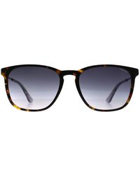 Police - Square Dark Havana Gradient Spld47 Code 4 - Lyst