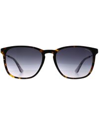 Police - Square Dark Havana Gradient Spld47 Code 4 - Lyst