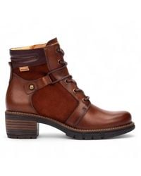 Pikolinos - Damen-Stiefeletten Aus Waldbraunem Leder Mit Reißverschluss Und Schnürung - Lyst