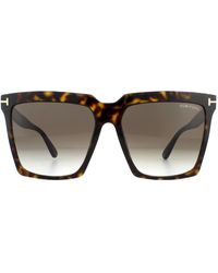 Tom Ford - Sunglasses Sabrina 02 Ft0764 52K Dark Havana Roviex Gradient - Lyst