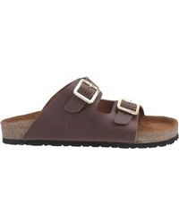 Cotswold - Ladies Lushill Leather Mule Sandals - Lyst