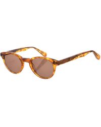 Zen - Z448 Pantos Shape Acetate Sunglasses - Lyst