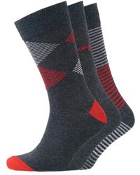 Money - Signature Socks (Pack Of 3) - Lyst