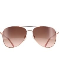 Calvin Klein - Aviator Shiny Rose Gradient Ck21306S Metal - Lyst