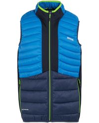 Regatta - Leedre Hybrid Gilet (Olympian/ - Lyst
