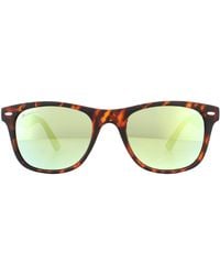 Montana - Sunglasses Ms10 A Matte Turtle Rubbertouch Revo - Lyst