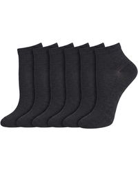 Pro Socks - 6 Pairs Seamless Low-Cut S9101 - Lyst