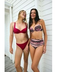 Penti - Cesira Lol Zebra Pattern Metallic Bikini Top - Lyst