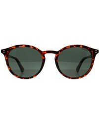 Polaroid - Round Havana Polarized Pld 6233/S - Lyst