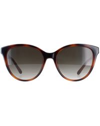 Ferragamo - Cat Eye Tortoise Gradient Sf1073S - Lyst