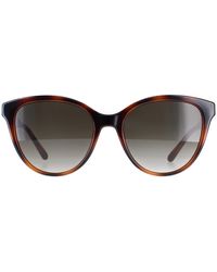 Ferragamo - Cat Eye Tortoise Gradient Sf1073S - Lyst