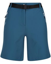 Regatta - Ladies Xert Iii Stretch Shorts (Moroccan) - Lyst