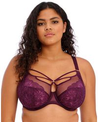 Elomi - Brianna Underwired Plunge Bra - Lyst