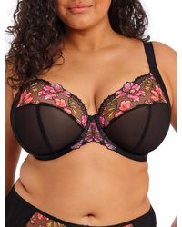 Elomi - Teagan Plunge Bra - Lyst