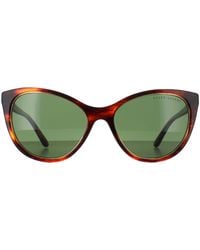 Ralph Lauren - Cat Eye Shiny Striped Havana Bottle Rl8186 - Lyst