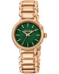 Roberto Cavalli - Rc5L020M0075 Quartz Stainless Steel 5 Atm 30 Mm Watch - Lyst