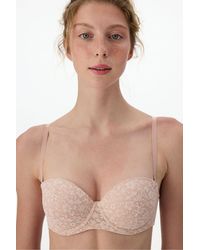 Penti - Pop Lace Bra - Lyst