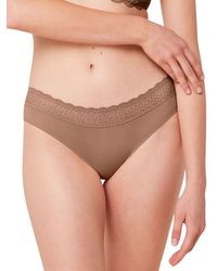 Triumph - Feel Of Modal Tai - Lyst