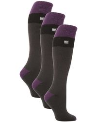 Heat Holders - 3 Pack Ladies Thermal Knee High Ski Socks - Lyst