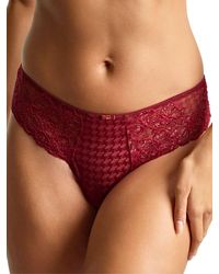 Panache - Envy Thong - Lyst