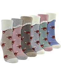 Sock Snob - 6 Pairs Ladies Thick Warm Wool Bed Socks - Lyst