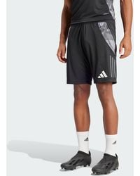 adidas Originals - Tiro 24 Competition Training Shorts - Lyst