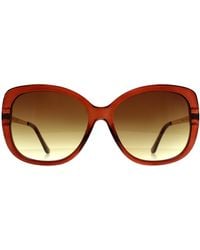 Calvin Klein - Butterfly Transparent Gradient Ck22548S - Lyst