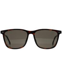 BOSS - Boss 1554/0/S 086 Havanna Grau Sonnenbrille - Lyst