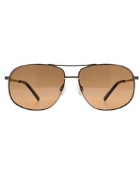 Serengeti - Aviator Shiny Gunmetal Saturn Polarized Drivers Sassari 2.0 - Lyst