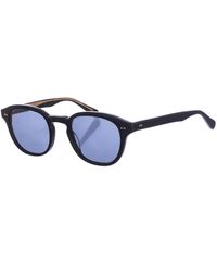 Zen - Z509 Pantos Shaped Acetate Sunglasses - Lyst