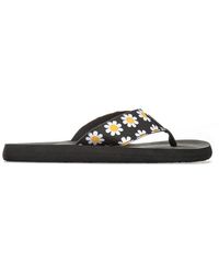 Rocket Dog - Adios Daisy Fields Flip Flops - Lyst