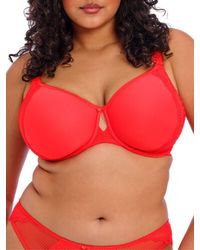 Elomi - Charley T-Shirt Spacer Bra Salsa - Lyst