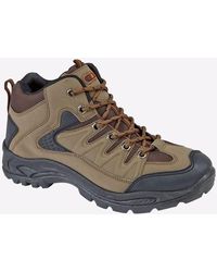 Dek - Ontario Trekker - Lyst